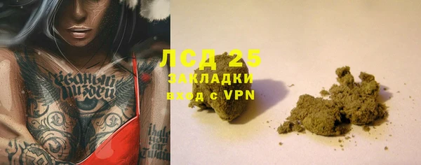 стафф Арсеньев