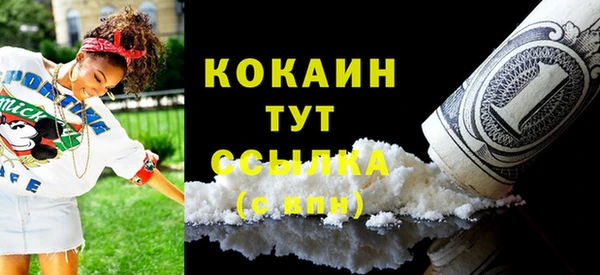 стафф Арсеньев