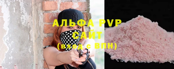 стафф Арсеньев