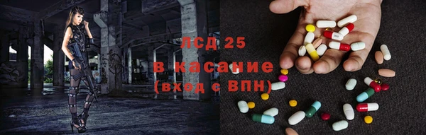 стафф Арсеньев