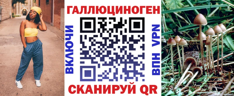 Псилоцибиновые грибы мицелий  магазин продажи наркотиков  Соль-Илецк 